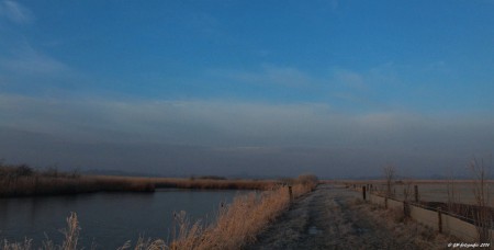 Natuurgebied de Wieden, Gasthuisdijk tussen Zuidveen en Wanneperveen.